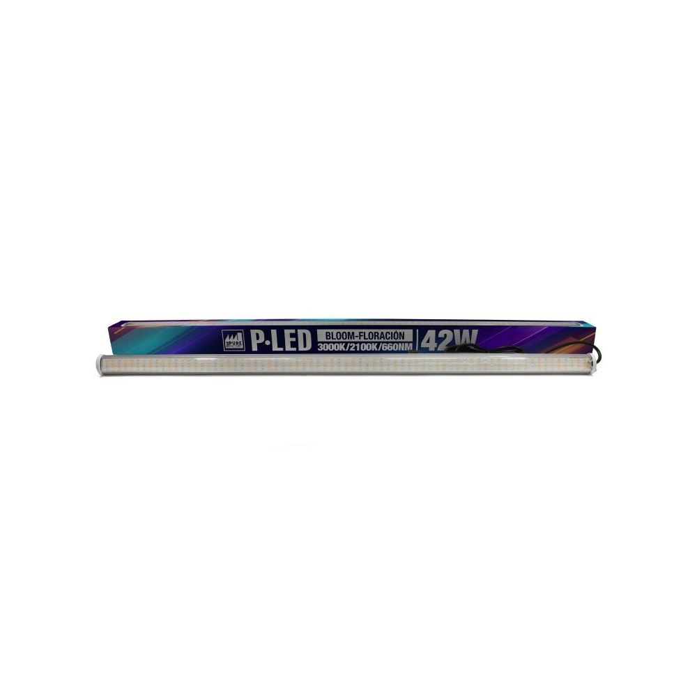 Pure Factory TLED PF 42 W, 2100 K, Blüte