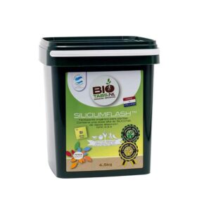 Biotabs Silicium Flash 4.5 kg NEW – (mehrsprachiges Etikett inkl. DE)