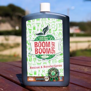 Biotabs BoomBoom Spray 250 ml – (mehrsprachiges Etikett inkl. DE)