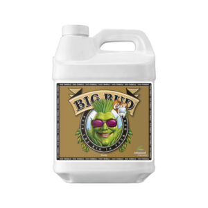 Advanced Nutrients Big Bud Coco 20 l