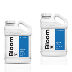 Athena Blended Line Bloom A+B 3,78 l (1 gal)